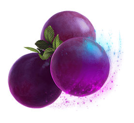 About us - Casino Rocket